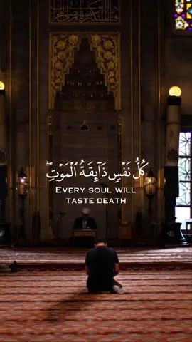 ارح قلبك♥🍁#عبدالرحمن_مسعد #قران #قران_كريم #قران_كريم_ارح_سمعك_وقلبك 