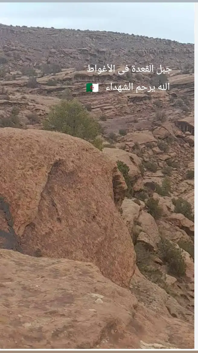 @العايش #الجيش_الجزائري🔥💕🇩🇿 #وإن_أعادو_لنا_الأماكن_فمن_يعيد_الرفاق 