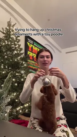 great performance by apple 