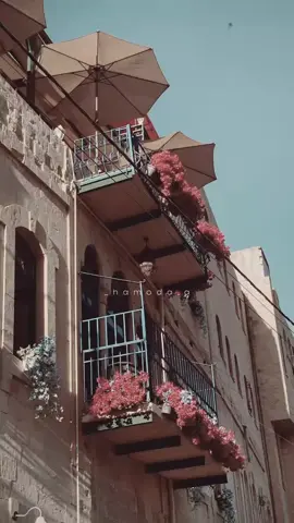 #صباح_النور_والنوير_ووراق_الشجر_والطير #يسعد_صباحك 