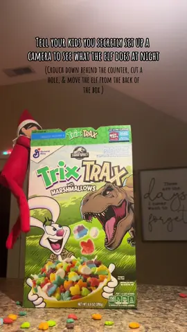 Elf On The Shelf caught moving!! #elfhack #elfcaughtoncamera #elfontheshelfideas #christmastiktok #christmas #fyp #elfontheshelf 