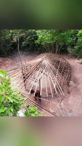 Amazing Complete Habit House Roof Grass Building Bushcraft Wildlife part 1  #bushcraft #shelter #build #building #outdoor #survival #Outdoors #camping 