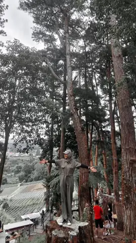 #CapCut 