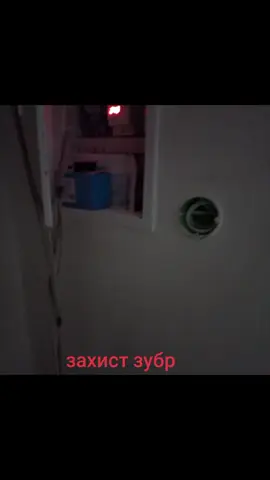 #зубр #напряжение #захист 