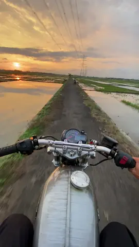 iki lo gocekno kamerane🫠#fyp #kitunggayabebas #teyeng #teyenggank #cb #nyebe #nyeni #cinematic #aesthetic #vibes #senja #nyore #icikiwir #nyebeyuk 