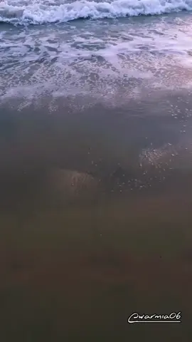 INGAT KITA TAK SELAMANYA MUDA DAN KUAT #CapCut #fyp #brandatiktok #quoteswaktu #quotesmotivasi #quotesmotivasihidup #quoteskatakatabijak #quoteskatamotivasibijak #quoteskatamotivasihidup #quotesmotivasibijak #quotesmotivasidiri #quotesmotivasihidup #quoteskehidupan #tinggalkenangan 