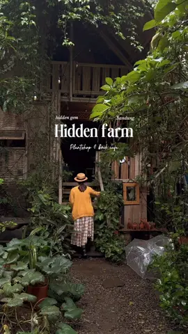 Hidden gem yg bener-bener Hidden apalagi kalo nyari nya pas ujan deras 🤣. Olahan buah nya enak, ada jus dan smoothie bowl. Tempat nya estetik, harga makanan dan minuman nya mulai dari belasan ribu aja. Cocok buat nugas bareng gebetan (meja sebelah) nge rumpi sama temen (meja sebelah juga 🤣) atau Me time sambil baca buku. Seru banget di sini. Mungkin kalau cuaca cerah lebih bisa eksplorasi ke atas lagi tapi kmrn lagi becek dan lumayan licin.  Kalo mau ke sink bisa cari di gmaps: Hidden farm Plantshop cafe di bukit pakar utara. ☺️ #masfotokopi #hiddengembandung #ghiblivibes #dagopakar #cafebandung 
