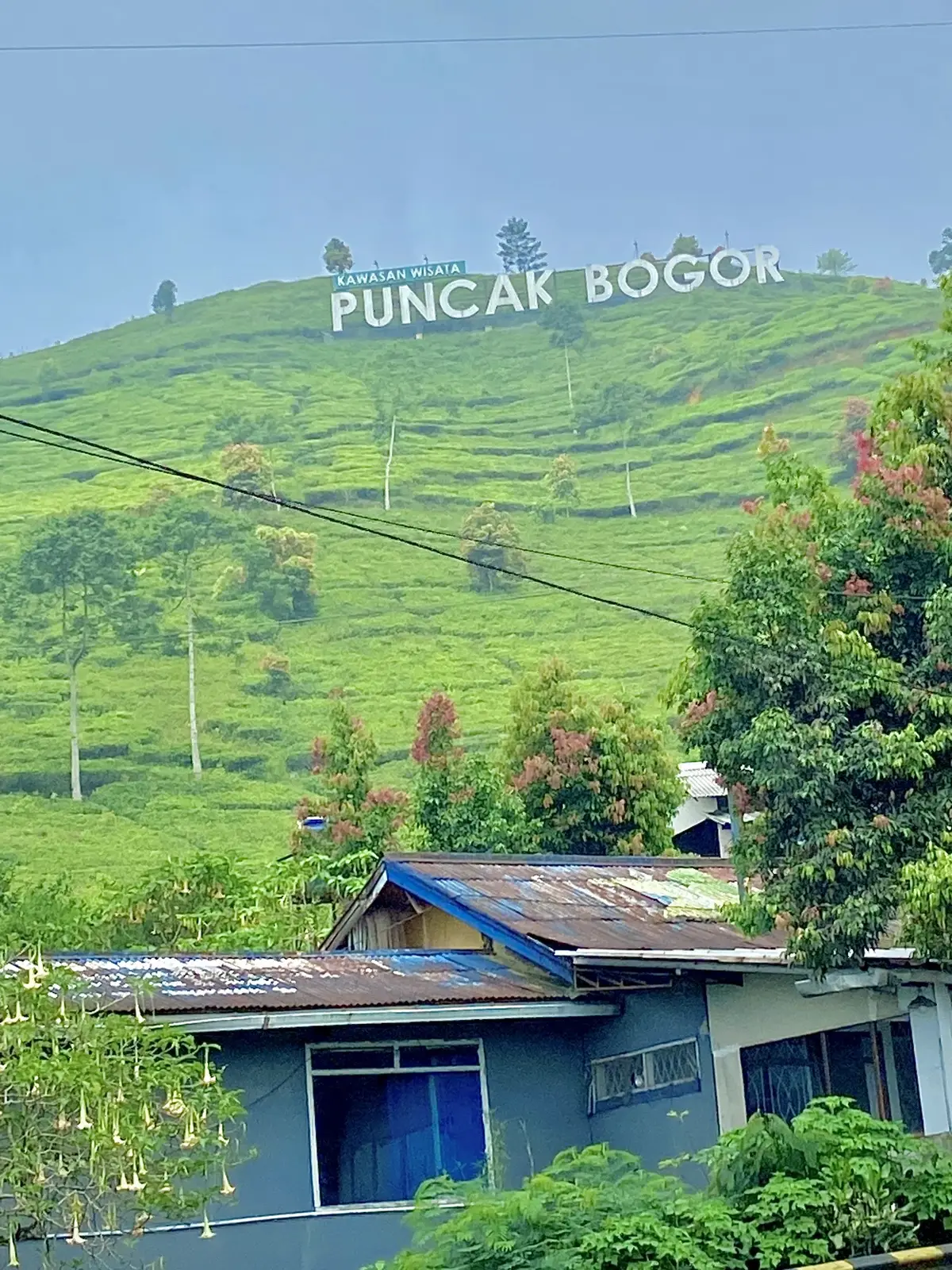 Bogor Emang the best view🖤#puncakbogor #telagasaatpuncak #bogor #jlrayabogor 