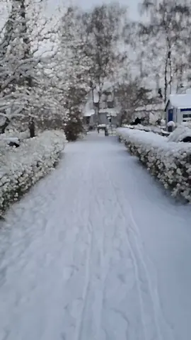 #هابورغ #germany #snow #شتاء #الثلج 