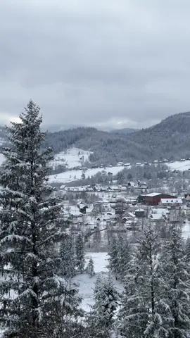 Наймиліший Космач🤍❄️#космач #гори #полонина #ріднийкрай #засніженігори #відпочиноквкарпатах #відпочиноккосмач #горитолюбов 