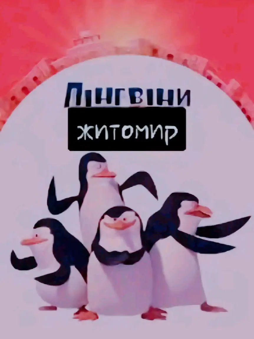 🫡 Житомир 🫡#україна🇺🇦 #пінгвіни #житомира #рекомендації #всебудеукраїна🇺🇦💙💛 #всебудеукраїна🇺🇦💙💛 #знаступающиммиколаєм❤️ 