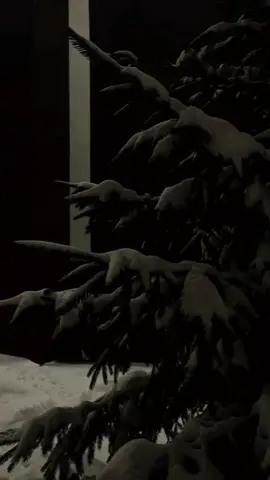 🌬 #winter #рекомендации #рек #петровщина #CapCut #рекомендации #метро 