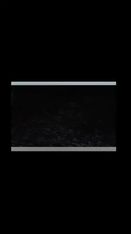 #fyp #fbyツ #foryou #foryoupage #lyrics #lyricsvideo #lovestory #viral #hinditobangalalyrics #followcommentsharelikereact 