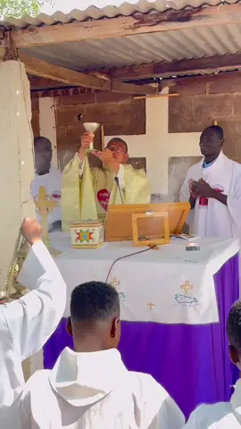 Linh Mục Việt Nam Truyền Giáo Tại Châu Phi 