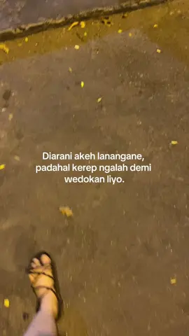 Rapopo