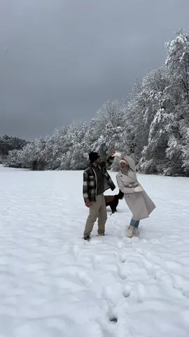 Snow days❄️☃️🫶🏼 #snowday #snow #snowfall #winter #schnee #Love #dog #bernersemountiandog #bernersennenhund 