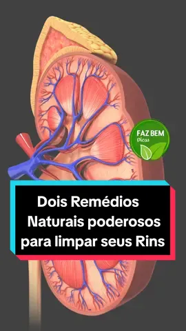 Dois Remédios Naturais poderosos para Limpar seus Rins #rins #saude #fazbemdicas 