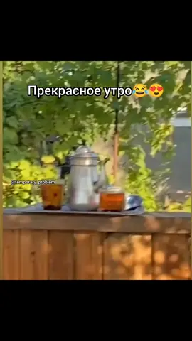 #втоп #вреки #шутка #юмор #прикол #пиво #утро 