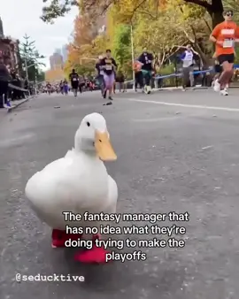 The fantasy manager that has no idea what they’re doing trying to make the playoffs  #fantasyfootball #fyp #funny #duck #marathon 