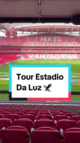 Tour Estadio Da Luz, SL BENFICA 🦅 #Benfica #DaLuz #Lisboa #Portugal #Tour #Eusebio #DiMaria #EstadioDaLuz #LigaPortuguesa #Adidas #Football #Futebol 