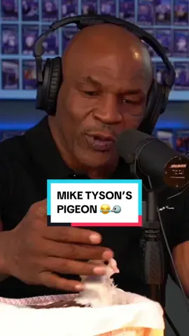 MIKE TYSON LOVES PIGEONS 😂 #miketyson #pigeon #loganpaul #funny #birds #impaulsive 