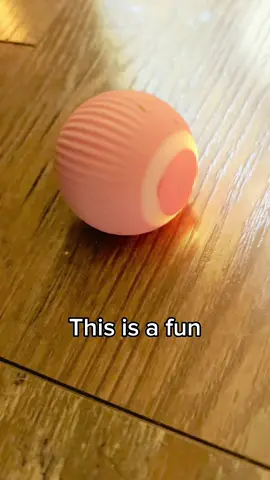 Fun smart cat toy rechargeable. #tiktokshop #cats #catsoftiktok #catlover #cattok #cozyjacki 