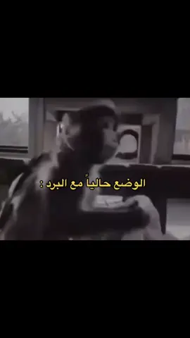 #اجواء_الشتاء #البرد #وضع_البرد #الشتاء #نكت #اليمن #السعودية #فايز_الحماطي #سناب_فايز 