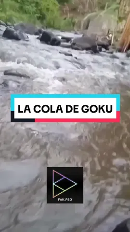 CC VOY AL RIO A DESESTRESARME . . . #popodrilo #coladegoku #goku #dragonball #cola #popo #caca #fakpsd #humortiktok #memestiktok 