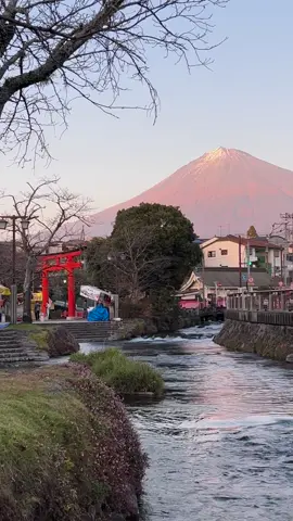 Fujisan Hongu Sengen Taisha ⛩️🗻 ฟูจิซังชัดมาก วันฟ้าเปิดในช่วงเวลา Magic Hour 🥰 สวัสดี. #mtfuji #shizuoka #เที่ยวญี่ปุ่น #japantrip #fujisanhongusengentaisha #traveljapan #จุดถ่ายรูปฟูจิ #fujinomiya 
