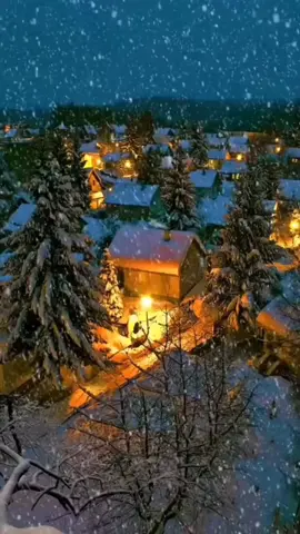 #FlorileDalbe #Colinde #GianiDave 