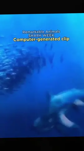 #______shark #_shark #America #atlanticocean #BeWhaleWise #blacktipreefshark #blacktipreefsharks #blacktipshark #blacktipsharks #blueshark #bullsharks #cagediving #Californiacoast #Christmas #cutesharks #deadshark #divingandshark #divinginsharks #divingshark #divingsharkattack #divingsharks #divingwith shark #dolphin #fishingashark #fishingshark #fishingsharkbite #fishingsharkvideos #fishingtheshark #fishshark #fishsharkattack #fishsharkgame #fishsharkin aquarium #fishsharktales #fishsharktank #fishsharkvideos #Florida #foryou #foryoupage #fyp #Galeocerdonidae #giantoceanmonsters #giantsharkintheocean #giantwhiteshark #goblinsharks #greatwhites #greatwhiteshark #greatwhitesharkdiving #greatwhitesharkfacts #greatwhitesharks #greatwhitesharkweek #greenlandshark #greyshark #hammerhead #hammerheadshark #helpsavesharks #humpbackwhale #killershark #killerwhalepredation #killerwhales #killerwhalevsdolphin #knowyoursharks #landbasedwhalewatching #mackerelshark #mackerelsharks #Majesticseacreatures #makoshark #marlin #Natgeoexplorers #OceanExploration #oceangianthuman #oceangiantmonsters #oceangiantmouth #oceangiants #oceanlife #oceanlife0217 #OceanPredator #oceansharkgirl #oceansharkkeelung #oceansharkpart2 #oceansharktransition #oceansharkvideos #oceansharkwave #oceansharkwhale #orca #orcaincident #orcas #orcashark #orcasharkfacts #orcasharkfshark #orcasharkincident #orcasharkorcasharkattack #orcatilikumvideo #orcavsdolphin #orcavshiu #orcavshuman #orcavssharks #orcawhale #Orcinusorca #redseashark attack #rescuesharks #saveoursharks #saveshark #savesharks #seashark #seasharkgirl #seasharkvehicle #seasharkvideos #seasharkvoice #seaworldsharkincident #seeingsharkunderwater #shark #sharkaddicts #sharkaholic #sharkanatomy #sharkandorca #sharkattack #sharkattack shark #sharkattack underwater #sharkawareness #sharkbaby #sharkbackyard #sharkbait #sharkbateau #sharkbehavior #sharkbite #sharkbreach #shark