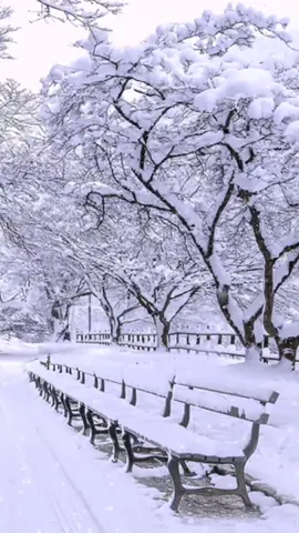 #ايامالشتاء💚 #ايامالبرد #تلج #تلج_تلج_عم_بتشتي_الدنيي_تلج #اليسا #اغاني #مطر #اجواء #حبايبي #اكسبلور #حب #حبيبي 