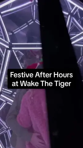Do sometning different this Festive season and explore a new world at Wake The Tiger in Bristol. ✨ #bristmas #christmasfun #differentkindofchristmas #thingstodobristol #wakethetiger #wakethetigerbristol 