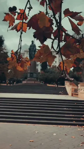 Baku autumn🍂🍂 #nicatadigozelov #bakı #autum #nature #city #cityautumn #bakı 