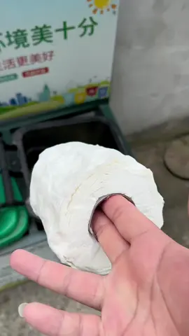 #xemngaymeohay Làm hoa hồng bằng giấy vệ sinh #xuhuong #viral #hoahong #hoahonggiay #meovatcuocsong 