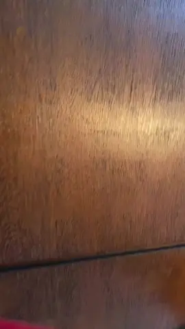 nyanyi duku sebeelum tiup lilin#toya ##fypシ #christyjkt48 #jktnewera48 #fypjkt48 #jkt48 #hbdchristyjkt48 post ulang