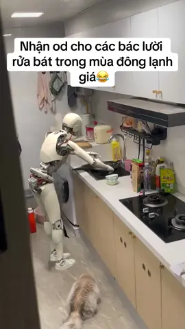 Nhận oder cho các bác lười rửa bát trong mùa đông lạnh giá :') #luoi #ordertaobao #order #giadungthongminh #donoidiatrungquoc 