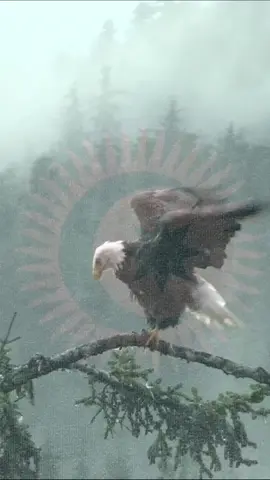 Sende bahtiyar olacaksın 🦅🤘 #türkistan #türkçütok #ötüken #tanrıdağı #turanharekatı🇹🇷🇦🇿🇰🇿🇲🇳🇺🇿🇭🇺🇹🇲🇰🇬 