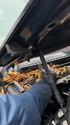 Cleaning ASMR 💭 #detailing#asmr#satisfying#carcleaning#cars 