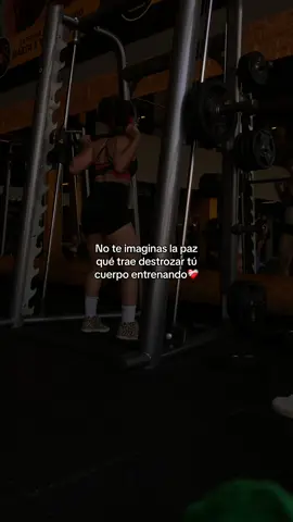 Es una sensación unica❤️‍🩹 #contenido #frases #gym #mujerfit #latina #gymperu #reflexionesdelavida #gymlover #superacionpersonalymotivacion #focus #metas 