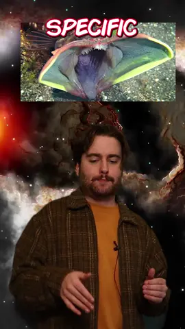 Worst fish ever #fyp #AnimalFacts #memes #top5 #top10 #fishinglife #marinebiology #oceanfacts 