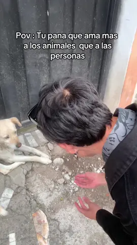 I LOVE ANIMALS ❤️🇪🇨 . ( Quien mas comente le sigo )
