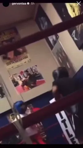 Gervonta Davis Posting videos of himself knocking Donny’s out in sparring. 🥊  ———— #gervontadavis #knockout #boxing #explorepage #boxinglife #boxingday #boxingworkout #boxinggym #boxingnews