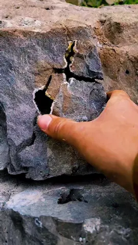 SWEET! Herkimer Diamond 💎 Mining in New York! . . . . . . .   . . . . . . . . . . . . . . . #reels #reelsfb #thefinders #instagram  #crystals #Herkimerdiamonds #nature #mining #rocks #thefinders #crystalhunt #fyp #awesome #epic #rockhound #crystalhunter #thefinders #amazing #beautiful #geology #newyork #foryou  #entertainment  #entertaining #foryoupage #quartz #crystalhunt #Outdoors #gemstones 