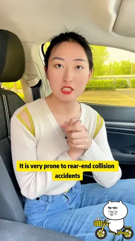 Small animals suddenly jumped out while driving at high speed!#car #carsafety #driving #tips #carsoft