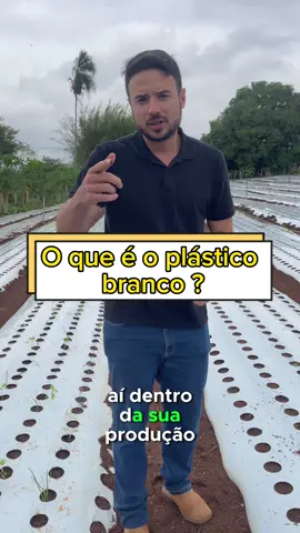 O que é esse plastico branco na horta ? Vem pra nossa aula ! O link ta no perfil !