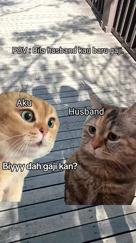 Setiap kali husband dah gaji 🤣🤣🤣 #Meme #MemeCut #CapCut 