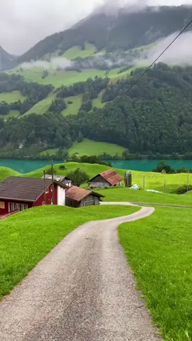 #استرخاء_استمتع_راحه_نفسيه_هدوء #الطبيعه_اجمل_شي_للراحه_النفسيه #متعه_بصريه #ماشاءالله_تبارك_الله #بحيرة_لونجيرن #سويسرا🇨🇭 