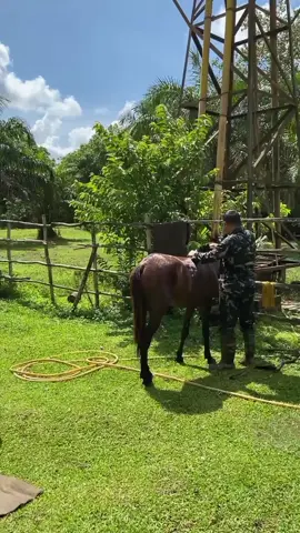 Obat dari segala kelelahan 
