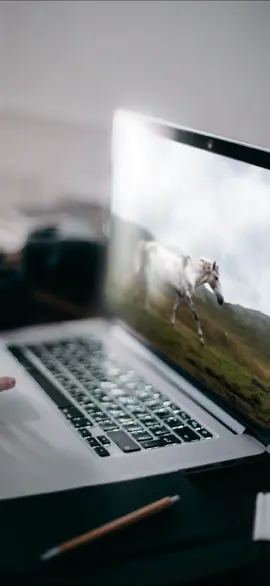 Ссылка на телегу в шапке профиля #photoshop #фотошоп 